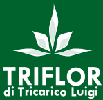 TRIFLOR di Tricarico Luigi - Prodotti per la floricoltura per fiori reciso e vasi fioriti propagate da talea, seme e meristema